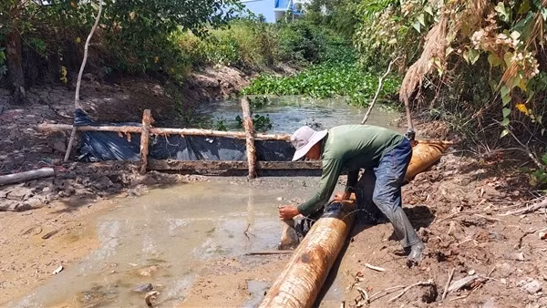Hạn hán, xâm nhập mặn ở Sóc Trăng diễn biến phức tạp