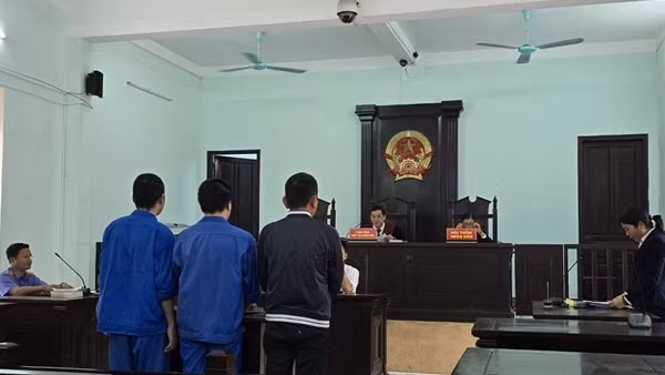 Các đối tượng môi giới mua bán thận với số tiền 2,6 tỷ đồng lãnh án