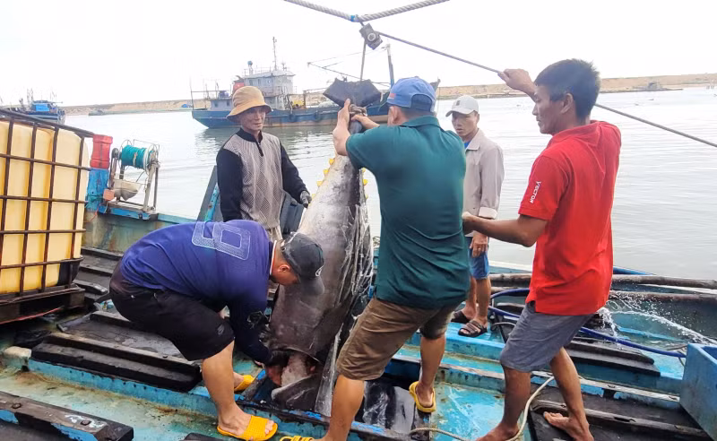 4 ngư dân Phú Yên trên tàu cá bị chìm ngoài biển đã được ngư dân Bình Định cứu nạn -0