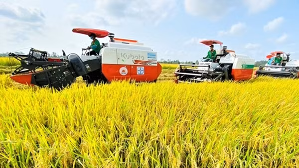 Xây dựng nhãn hiệu lúa giảm phát thải, nâng giá trị hạt gạo Việt Nam