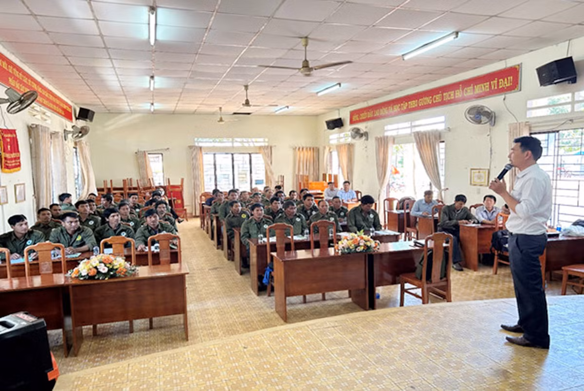 anh 4.jpg -1