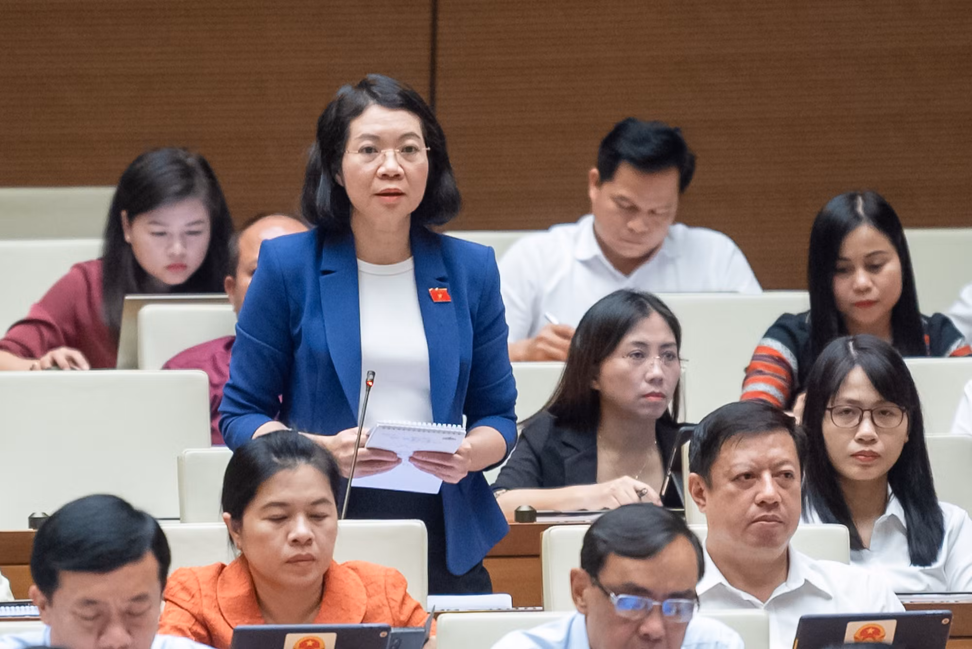 ĐBQH Mai Thị Phương Hoa phát biểu tại hội trường.