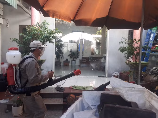 Hà Nội chưa quá tải điều trị sốt xuất huyết -0