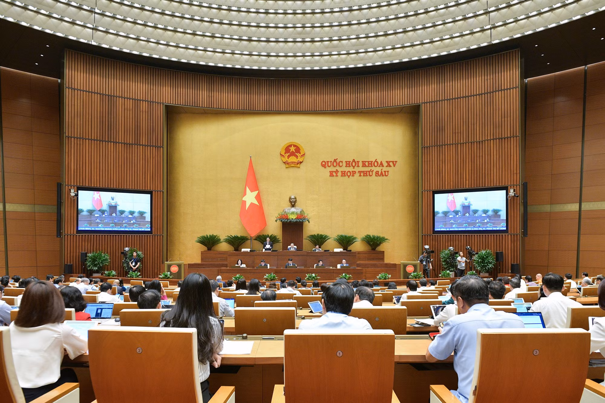 Đề nghị người Việt Nam định cư nước ngoài có đầy đủ quyền liên quan đến đất đai -0