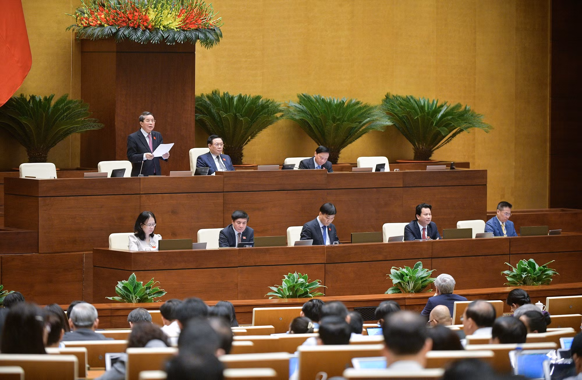 Đề nghị người Việt Nam định cư nước ngoài có đầy đủ quyền liên quan đến đất đai -0