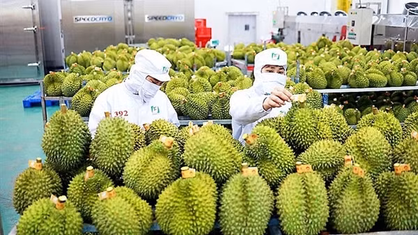 Xuất khẩu đang ngược dòng tăng tốc