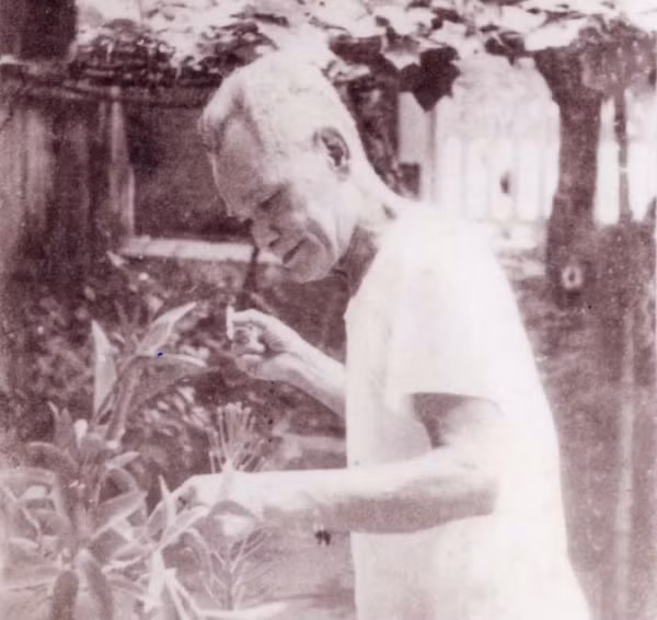 Ngôi nhà 66 Thợ Nhuộm và kỷ niệm về một thời đạn bom -0