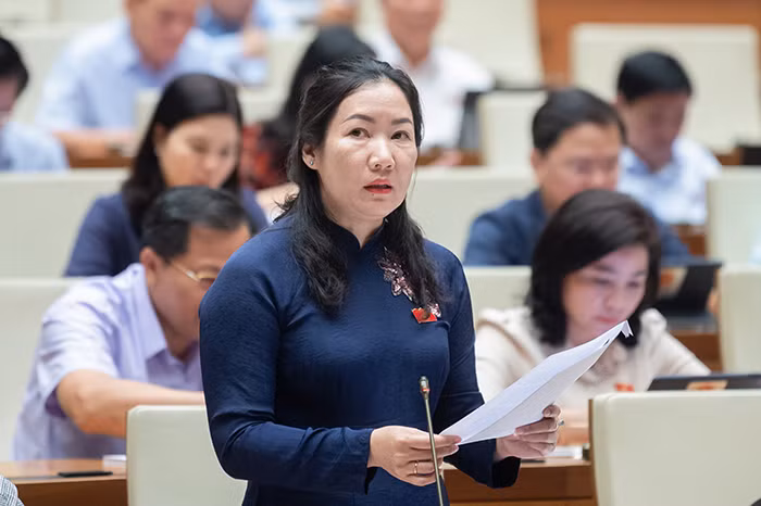 Cần thiết có lực lượng giúp Công an chính quy ở địa bàn -0