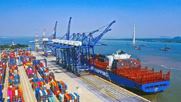 Khởi động dự án mới về dữ liệu dân số ảnh 3