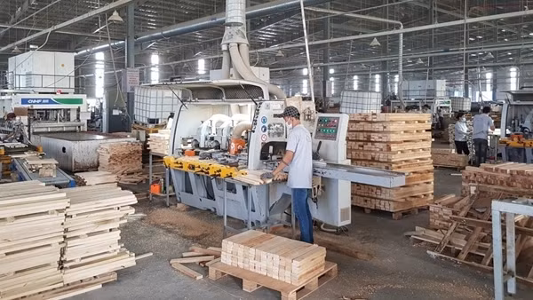 Bình Dương đẩy nhanh xây dựng Thành phố thông minh ảnh 2