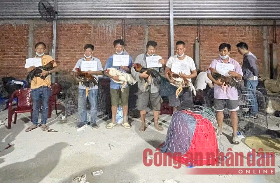 Cục Cảnh sát hình sự phá ổ bạc khủng, tạm giữ 59 đối tượng ảnh 6 Tạm giữ 59 đối tượng đánh bạc và đánh bạc dưới hình thức đá gà, lắc tài xỉu -1