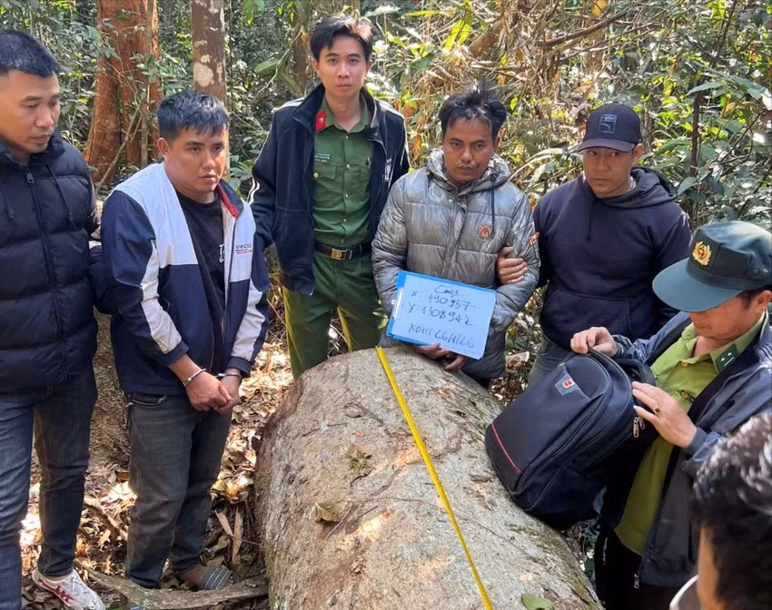 Truy bắt nhóm đối tương khai thác gỗ dỗi lúc nửa đêm -0