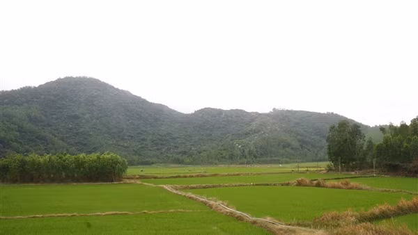 Gặp nam sinh cứu phi công trong vụ máy bay quân sự rơi ở phía Đông tỉnh Đắk Lắk