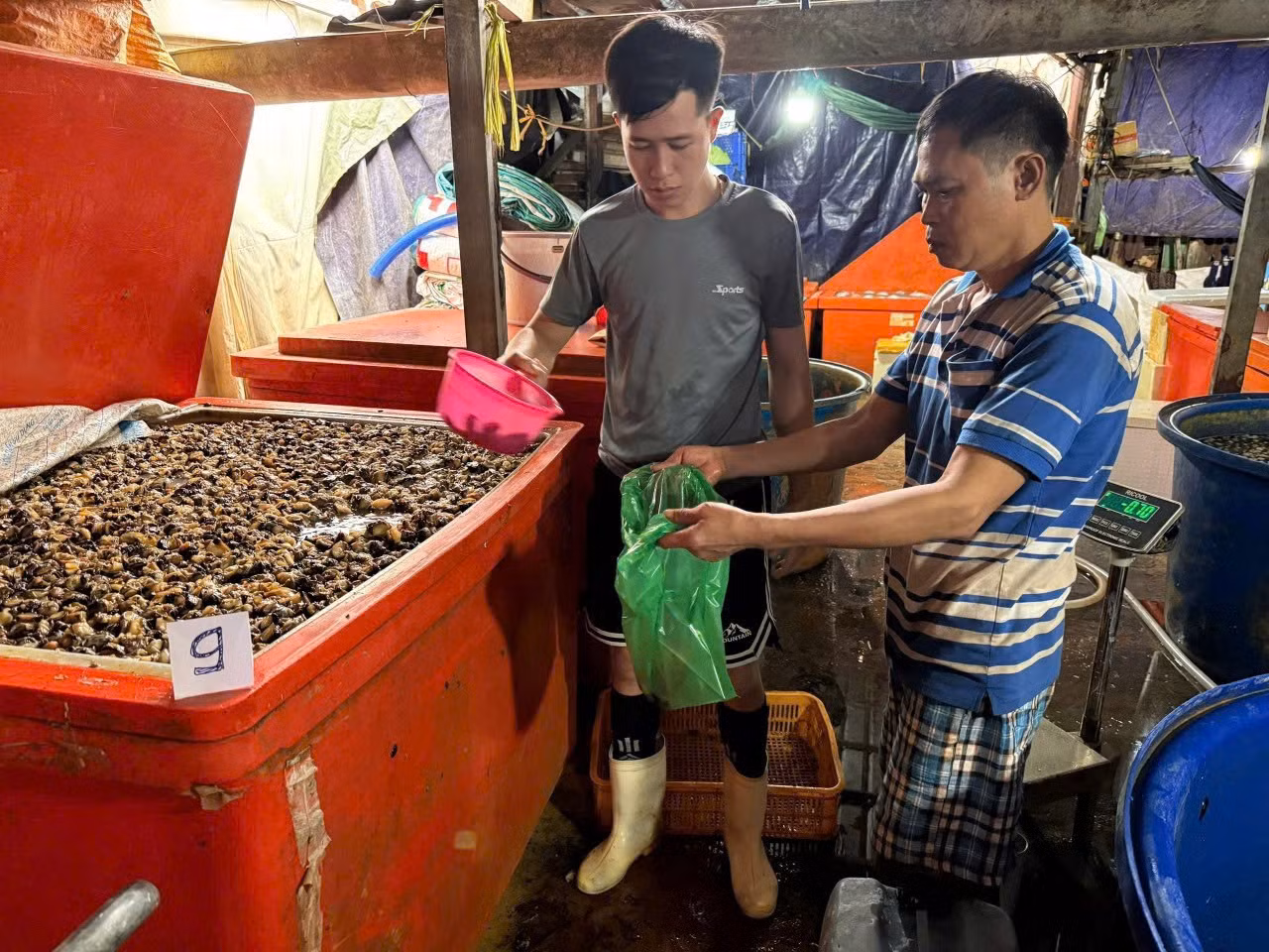 Triệt phá đường dây ngâm 3.000 tấn thịt ốc bươu bằng hóa chất công nghiệp quy mô đặc biệt lớn -6