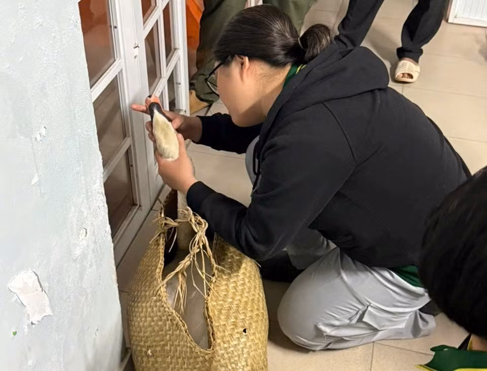 Công an nhanh chóng truy xét, giải cứu cá thể thiên nga bị trộm tại Thảo Cầm viên Sài Gòn -0