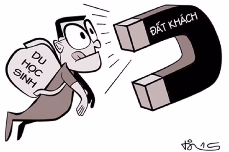 Lợi dụng đi học để ở lại nước ngoài trái pháp luật sẽ bị phạt tiền -0