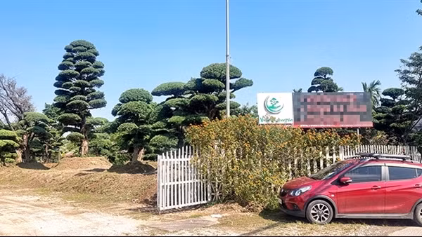 Cận cảnh dự án “Công viên cây xanh” có nhà xưởng bị cháy làm một người tử vong