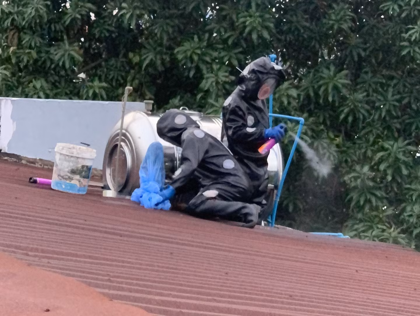 Sinh viên Bách Khoa thở phào khi tổ ong vò vẽ “khủng” được xử lý -0