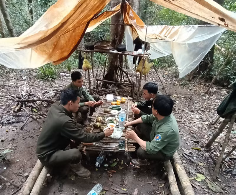 ảnh-2.jpg -1