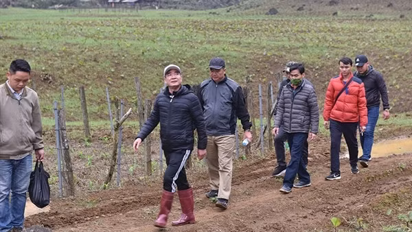 Ngăn chặn ma túy len lỏi trong đời sống