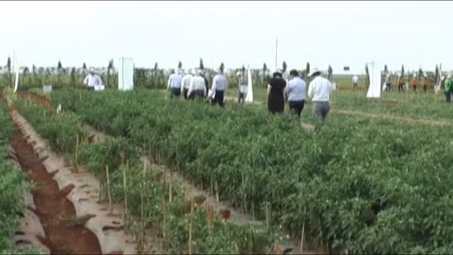 Bắt nguyên Phó Giám đốc Sở Khoa học và Công nghệ Đồng Nai -0