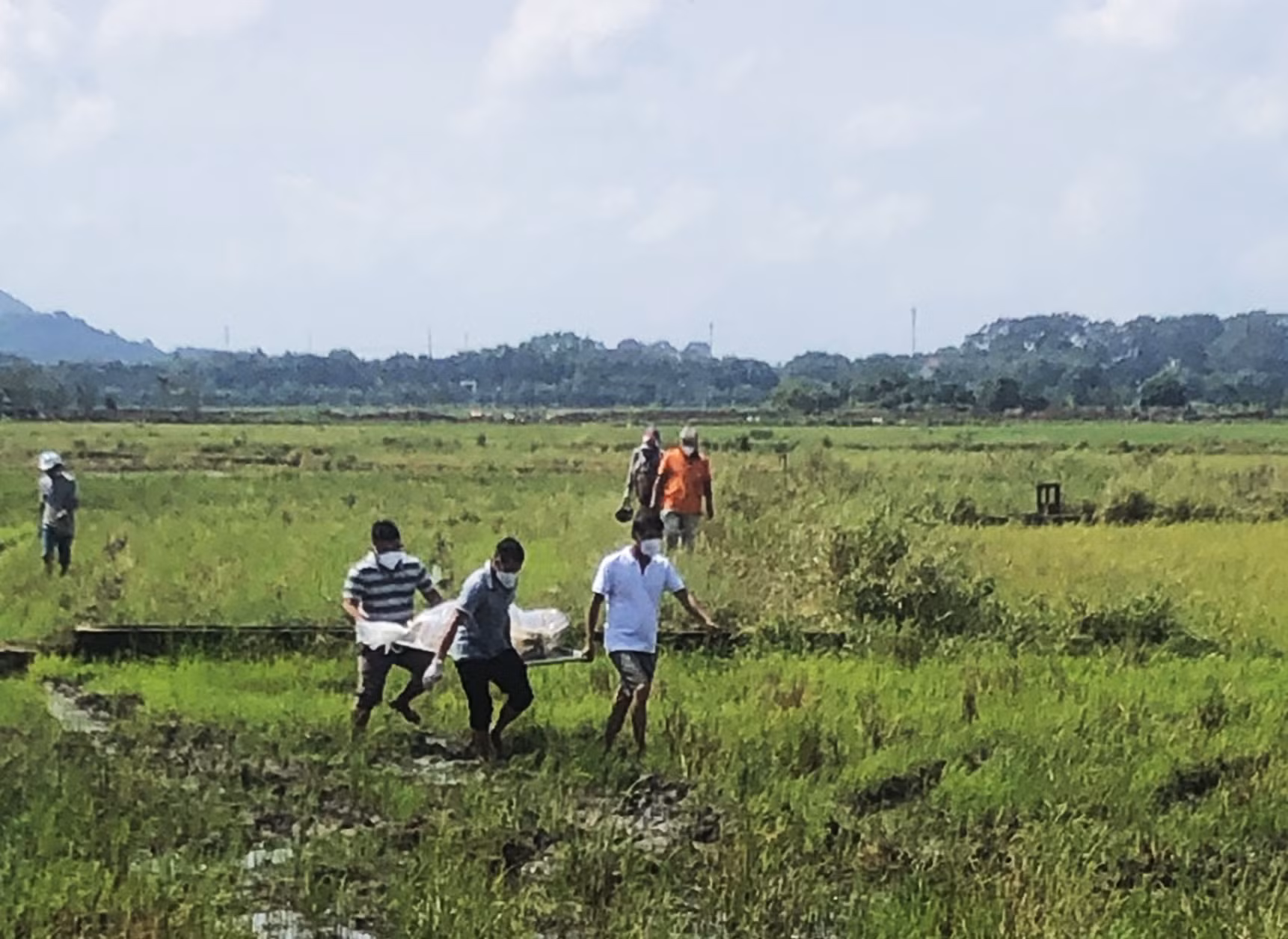 Phát hiện thi thể người đàn ông giữa cánh đồng -0