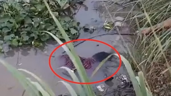 Phát hiện thi thể người đàn ông trên sông Bô Kê