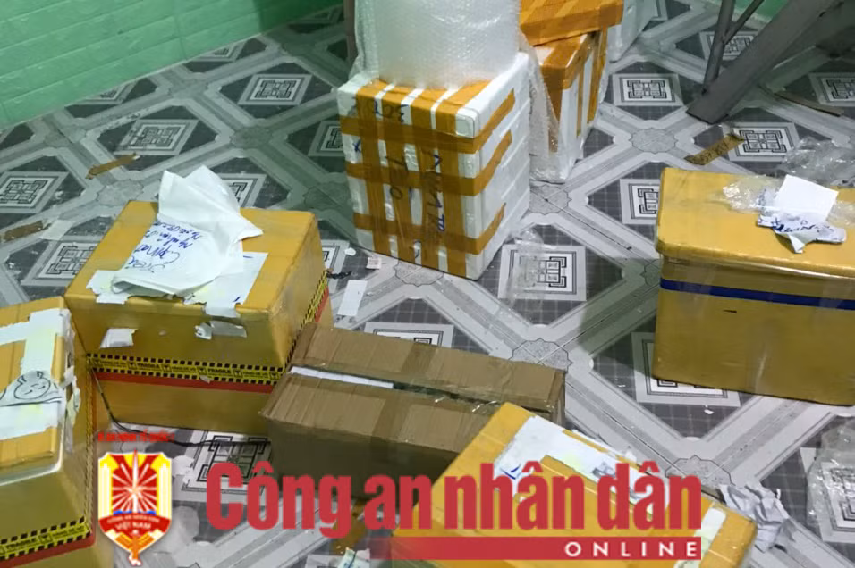 Bắt “bà trùm” cùng đàn em trong đường dây mua bán súng 