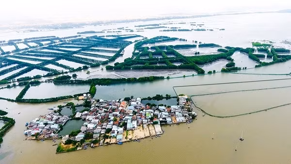 Say đắm "ốc đảo xanh" Cồn Chim