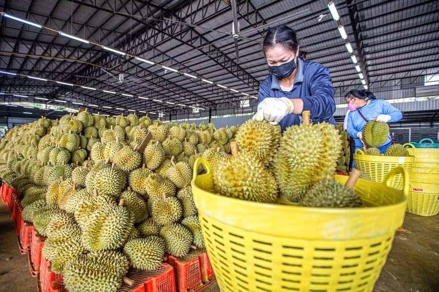 Xuất khẩu rau quả giảm trong tháng đầu năm -0