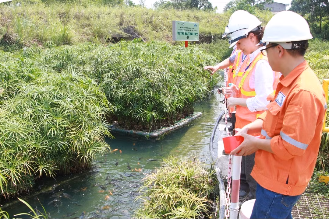 Năm thứ 4 liên tiếp Masan có tên trong Top 50 Doanh nghiệp phát triển bền vững -0
