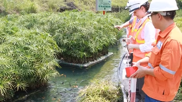 Năm thứ 4 liên tiếp Masan có tên trong Top 50 Doanh nghiệp phát triển bền vững
