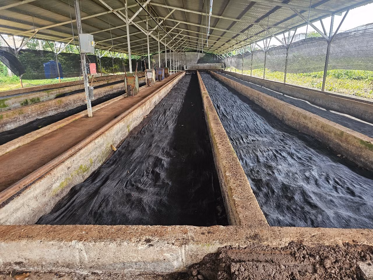 Công ty Cao su Bình Long phát huy truyền thống anh hùng trong sản xuất, kinh doanh -0