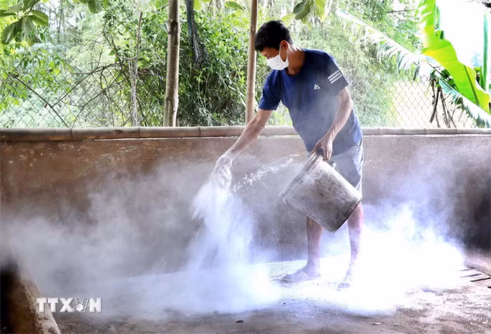 Thủ tướng chỉ đạo triển khai quyết liệt phòng chống dịch tả lợn châu Phi -0