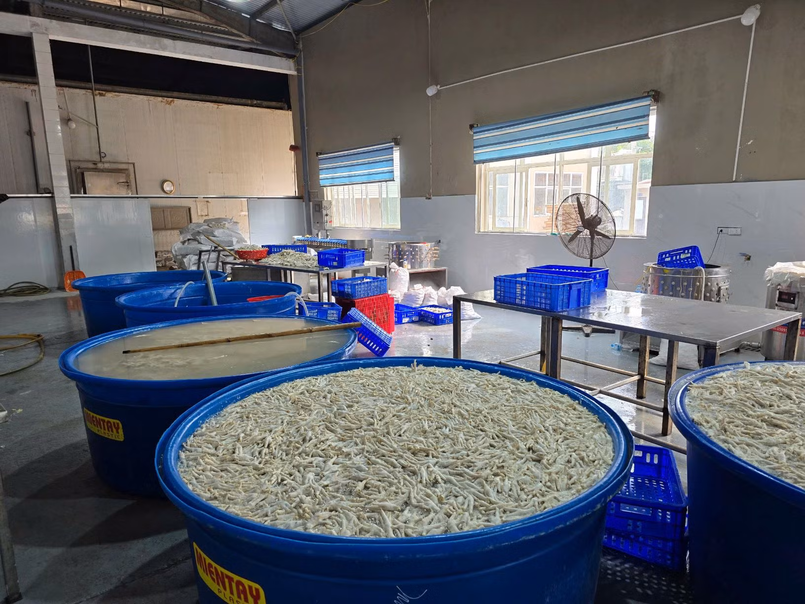 Tạm giữ hơn 13 tấn chân gà ngâm hoá chất -0