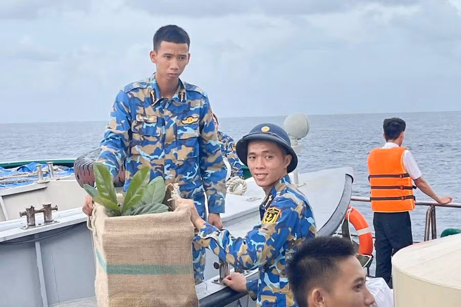 Đầu Xuân hưởng ứng 