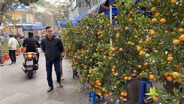 Thị trường ngày 30 Tết: Hoa, cây cảnh "hạ nhiệt", rau xanh tăng giá