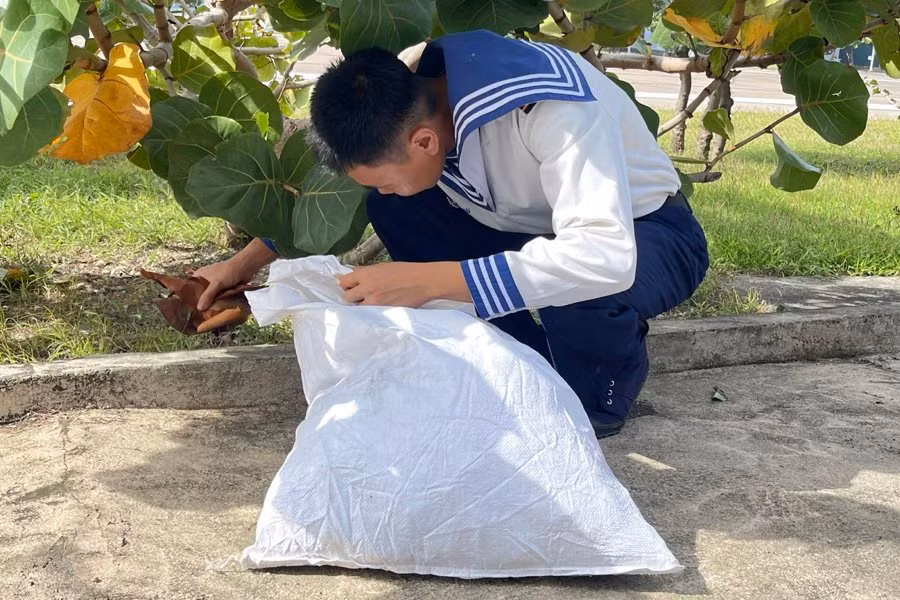 Đầu Xuân nhiều hoạt động hưởng ứng 