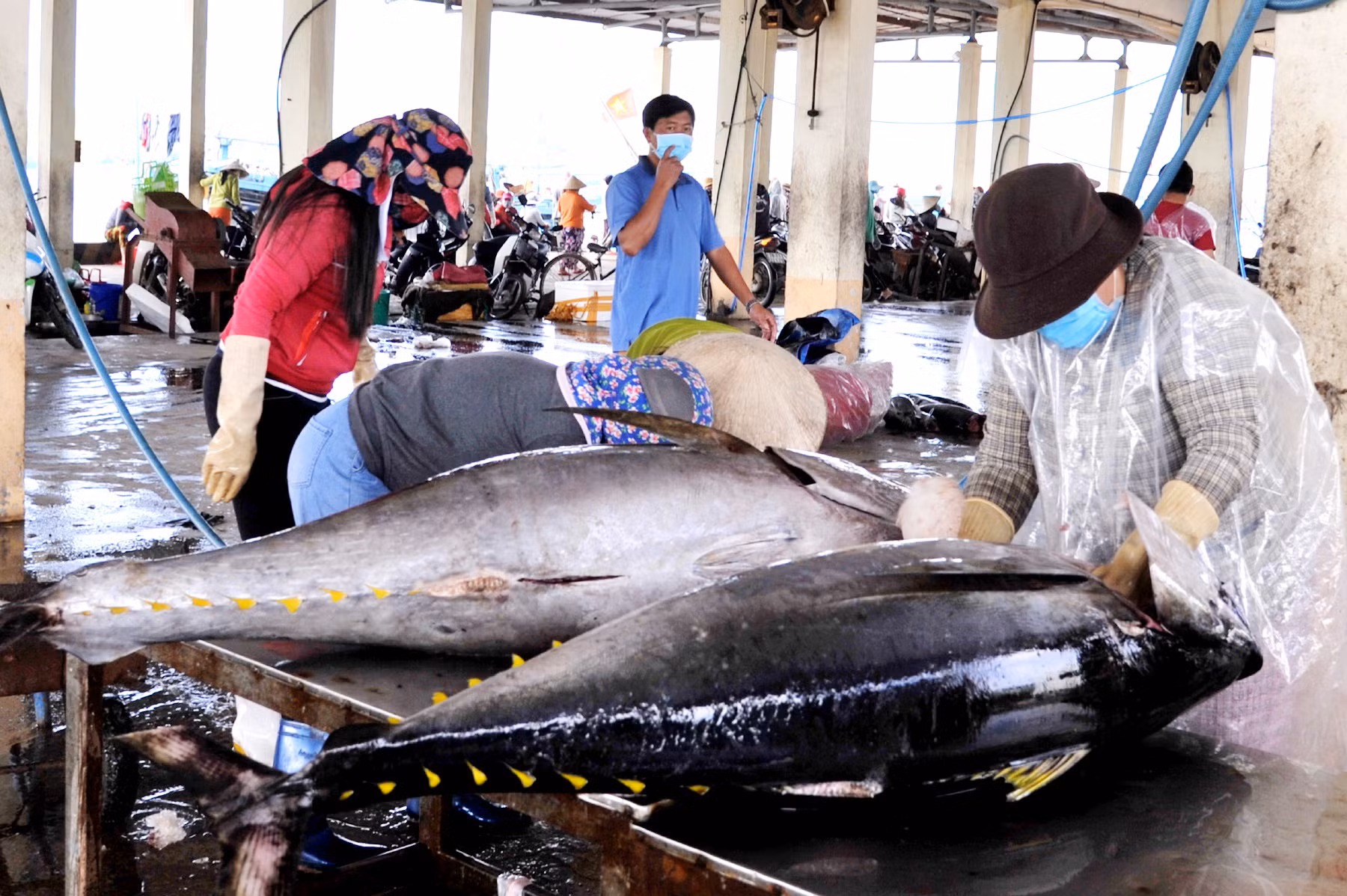  Ngư dân Nam Trung bộ vươn khơi bám biển xuyên Tết -0