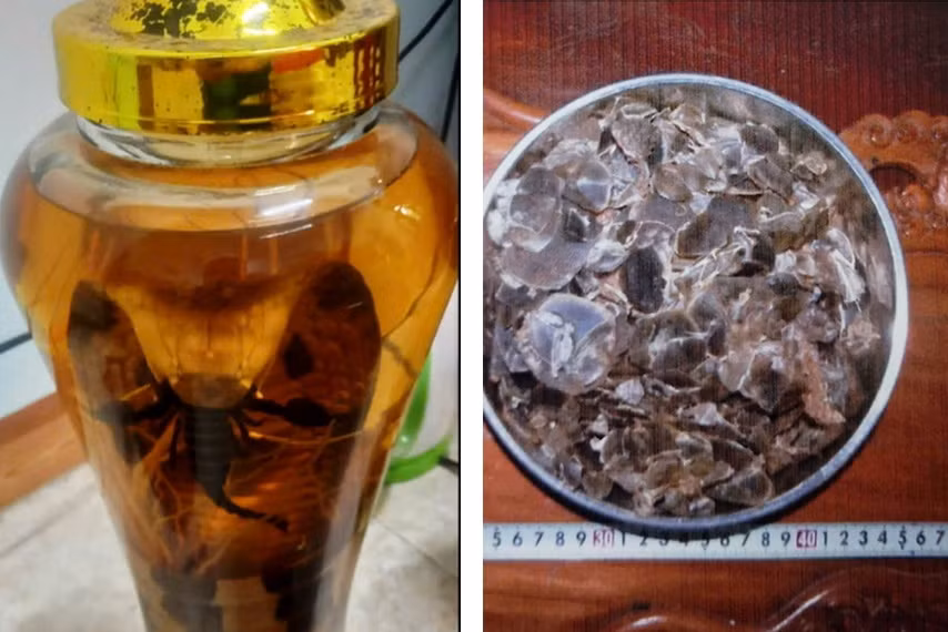 Từ hai bình rượu rắn làm rõ hành vi phạm pháp của nam thanh niên -0