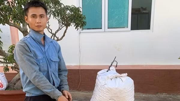 Bắt giữ nhiều đối tượng trộm cắp cà phê ở Lâm Đồng