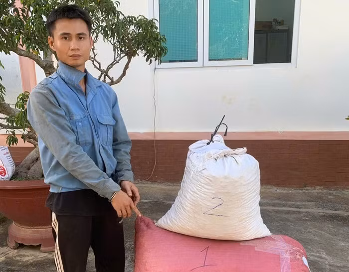 Liên tiếp khởi tố nhiều vụ trộm cắp cà phê ở Lâm Đồng -0