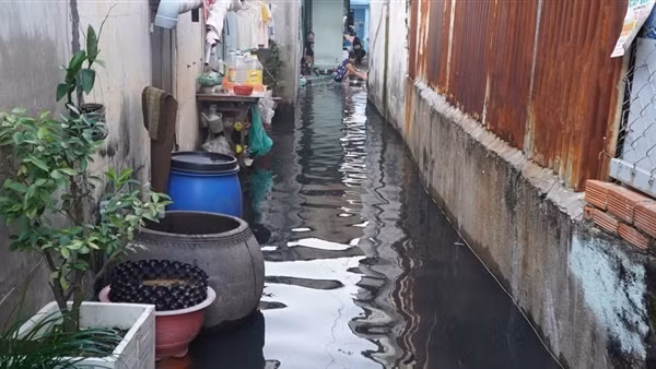 Nhiều khu vực&nbsp;tại TP Hồ Chí Minh bị ảnh hưởng triều cường giữa tháng 11