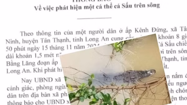 Phát cảnh báo vụ cá sấu xuất hiện trên sông Bằng Lăng