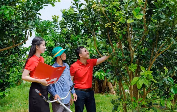Agribank đẩy mạnh cho vay qua tổ vay vốn - tăng khả năng tiếp cận vốn cho khách hàng -0