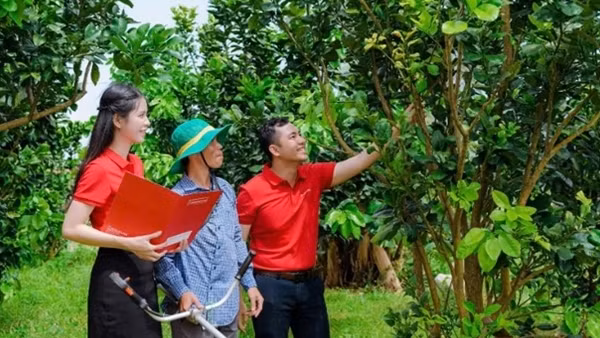 Agribank đẩy mạnh cho vay qua tổ vay vốn - tăng khả năng tiếp cận vốn cho khách hàng