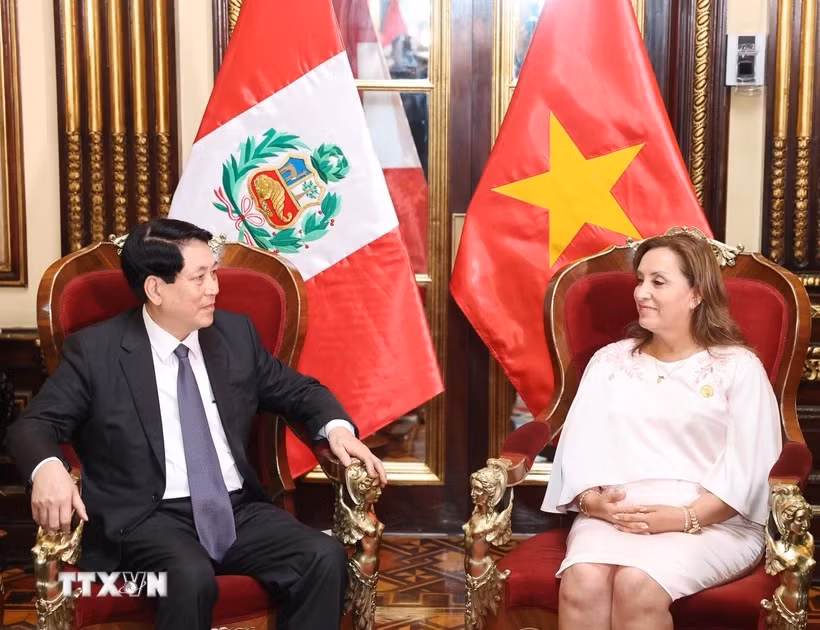 Thúc đẩy hơn nữa quan hệ hữu nghị và hợp tác nhiều mặt giữa Việt Nam và Peru -0