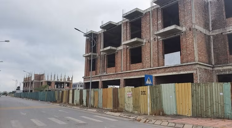 dau gia 2.1.jpg -0