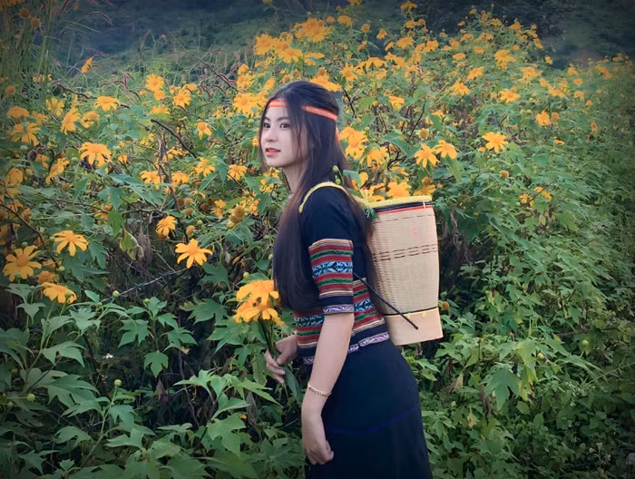Trên đỉnh núi hoa vàng -0