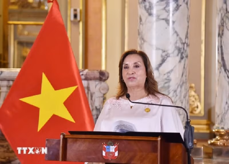 Tạo thêm động lực cho quan hệ hữu nghị, hợp tác giữa Việt Nam và Peru -0